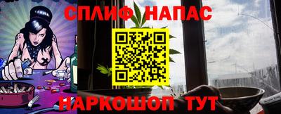 мдпв Гудермес