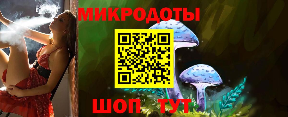 Псилоцибиновые грибы мицелий Бор