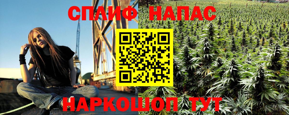 Конопля MAZAR  Бошки марихуана конопля  Вход с VPN  Марихуана планчик  Бор 